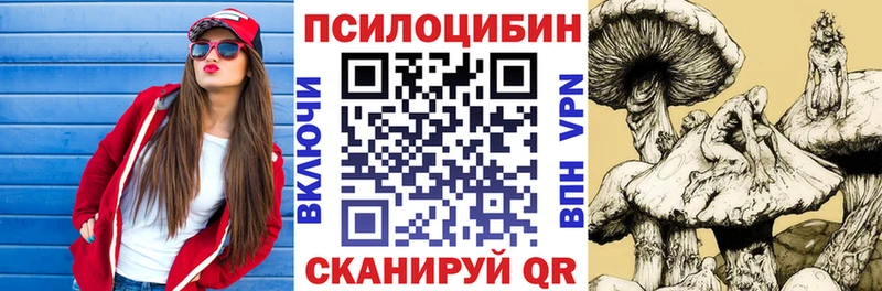 Псилоцибиновые грибы Psilocybe  Купить  Мосальск 